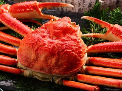 【グルメプラン】本ズワイガニ姿1杯付1泊2食 基本バイキングプラン