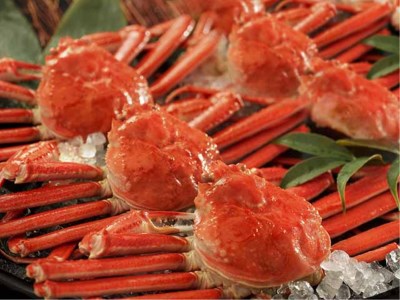 【グルメプラン】本ズワイガニ姿まるごと食べ放題付1泊2食 基本バイキングプラン