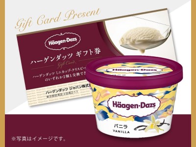 【ハーゲンダッツギフト券付き】癒しの旅！大人のデザート♪＜ビュッフェ朝食付き＞