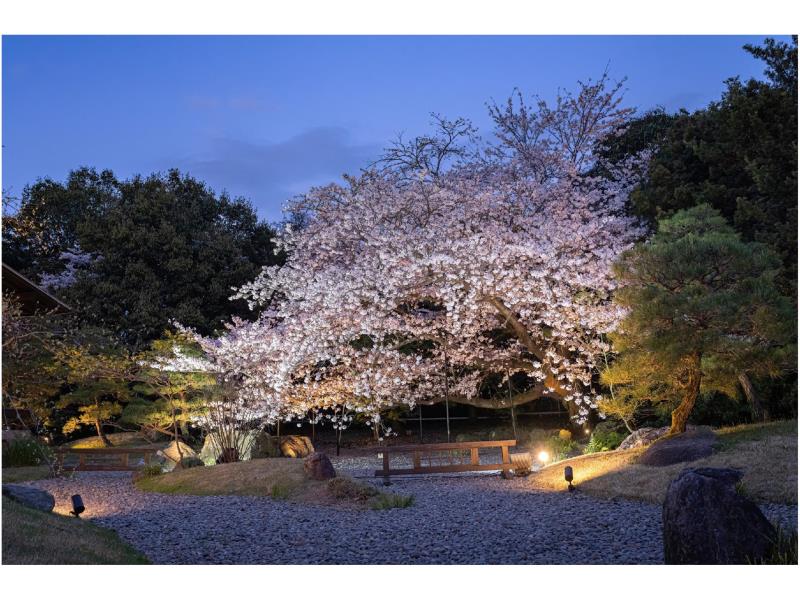 施設内のお花見スポット